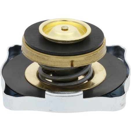 Kühlerdeckel - 4999682N