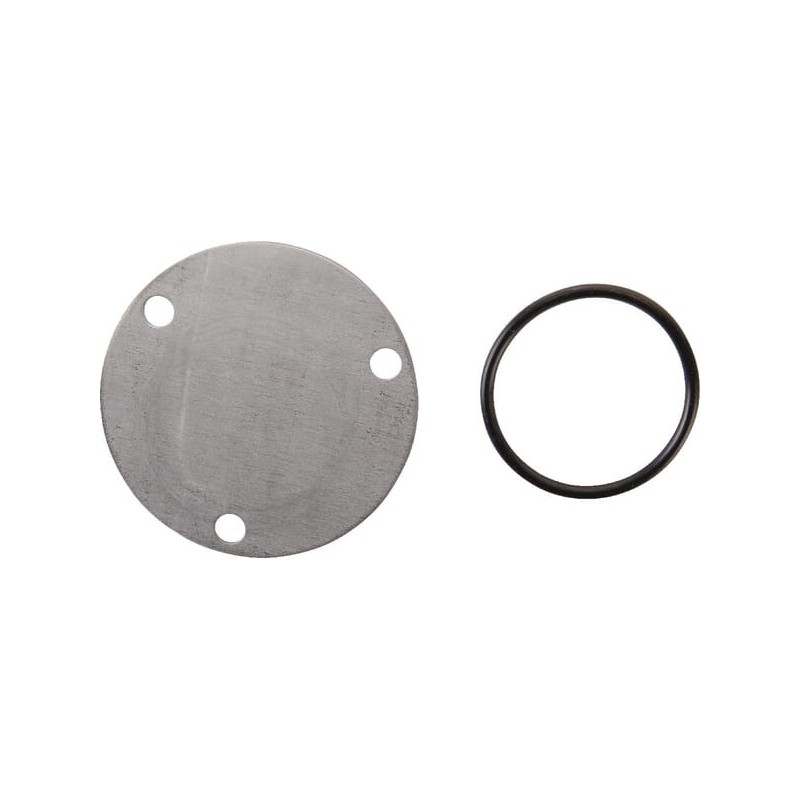 Deckel-Ölpumpe - 499613