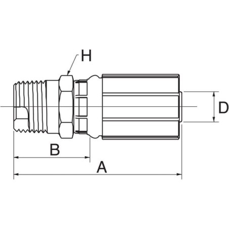 Insert male DN6-3/8 BSPT - 4G6MBSPT