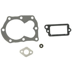 498526 Briggs & Stratton, Gaskets 