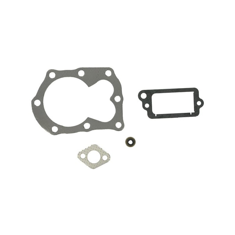 Gasket set OVHL - 498526 Gasket set OVHL - 498526