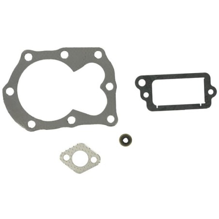 Gasket set OVHL - 498526