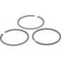 Piston ring set standard - 499631 Piston ring set standard - 499631