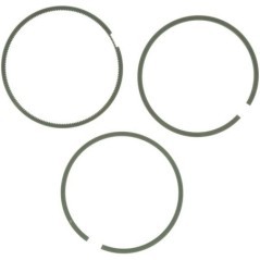 Kolbenringsatz Standard - 499631