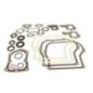 Gasket set - 495603 Gasket set - 495603