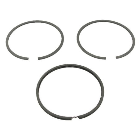 Piston ring set .020 - 499998