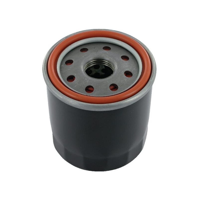 Oil filter - 490652076