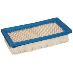 491384 Briggs & Stratton, Filter 
