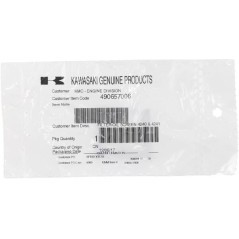 490657006 Kawasaki, Filter 