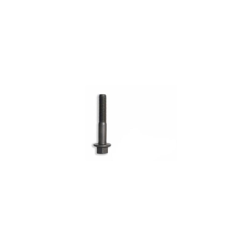Hexagon bolt - 4895483FPT Hexagon bolt - 4895483FPT