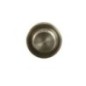 Threaded plug - 4894139FPT