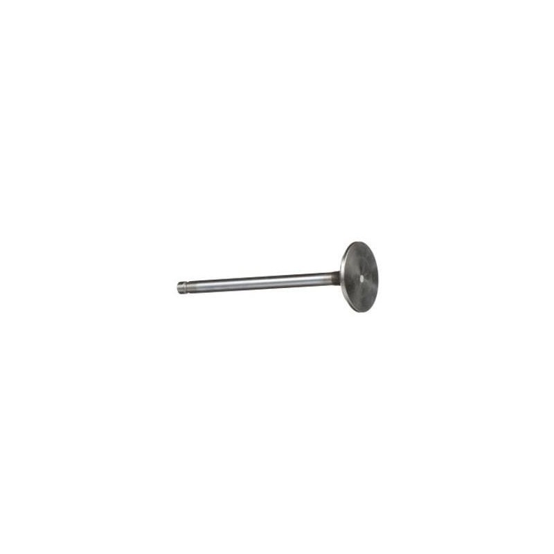 Std Exhaust Valve - 4895188