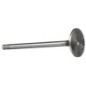 Std Exhaust Valve - 4895188