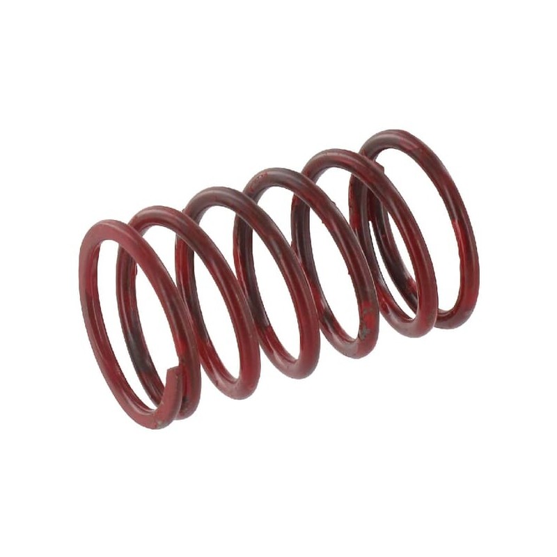 Valve spring - 490787001 Valve spring - 490787001