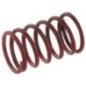 Ventilfeder - 490787001 Ventilfeder - 490787001