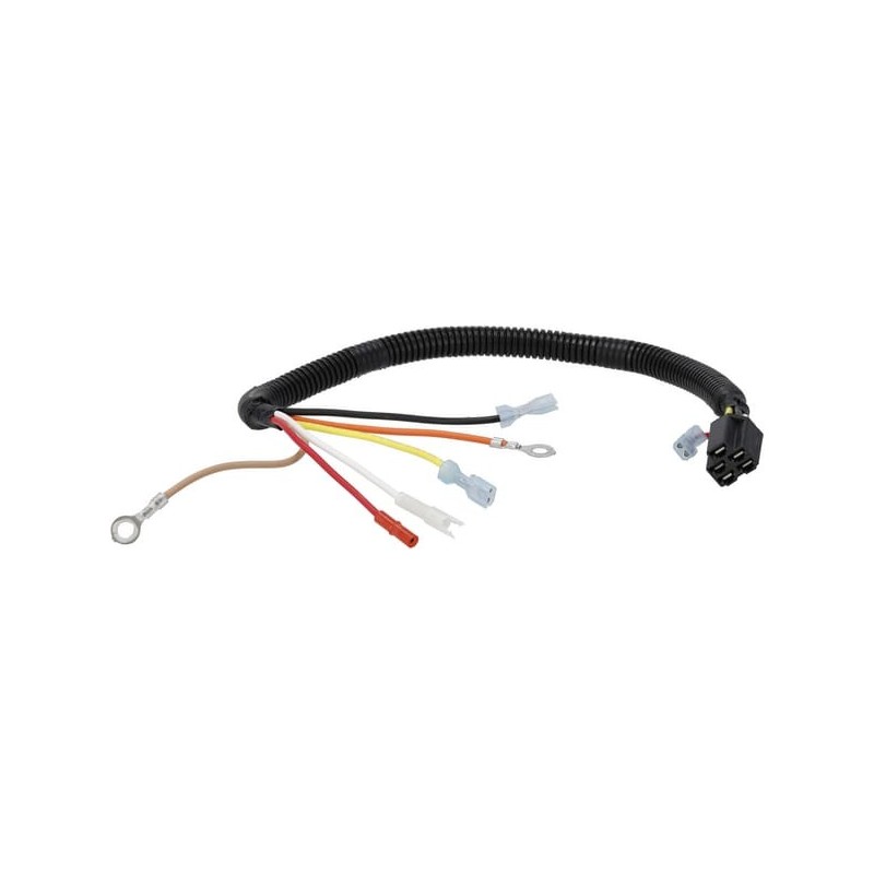 Harness assembly - 493624 Harness assembly - 493624