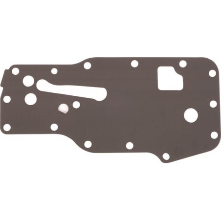 Gasket - 4896409