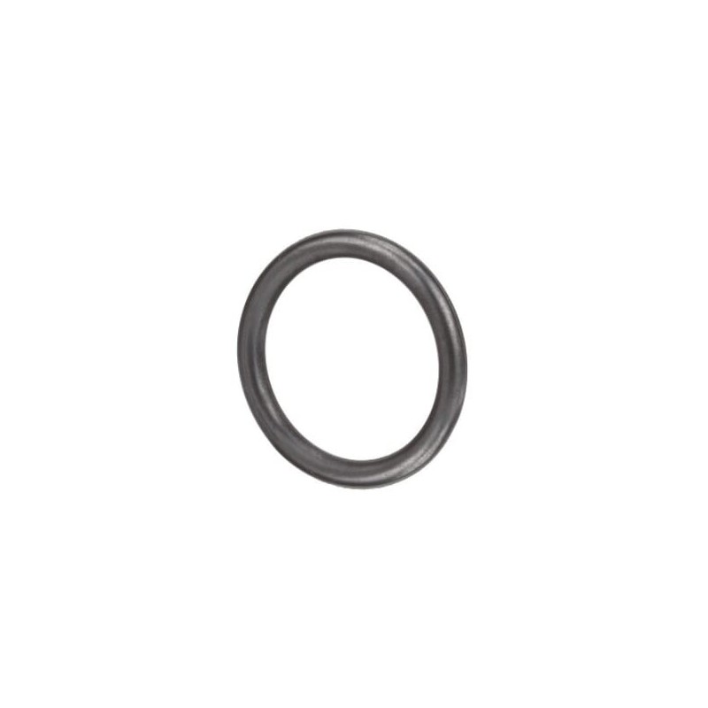 O-ring - 4890926FPT