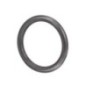 O-ring - 4890926FPT