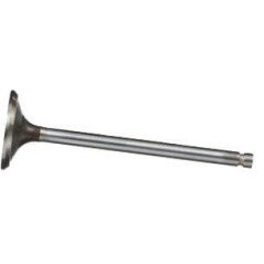 Cylinder head and timing system – produkty dostępne w rolniczeczesci.pl