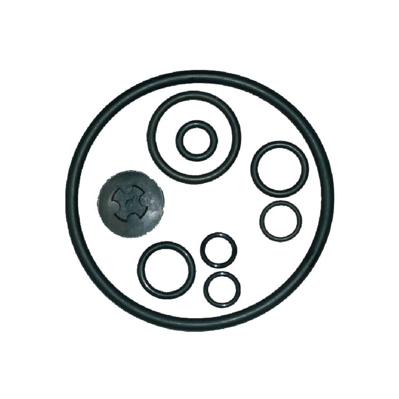 Gasket Kit 461, 462 - 49005511 Gasket Kit 461, 462 - 49005511