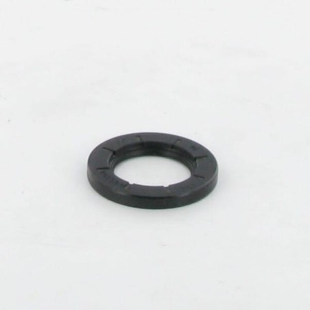 Oil seal - 495307S