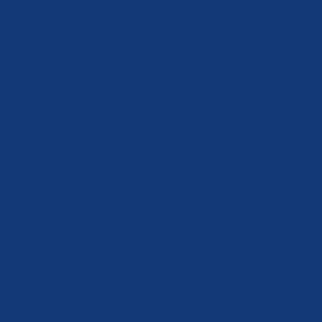 Ford blau 1L - 510008KR