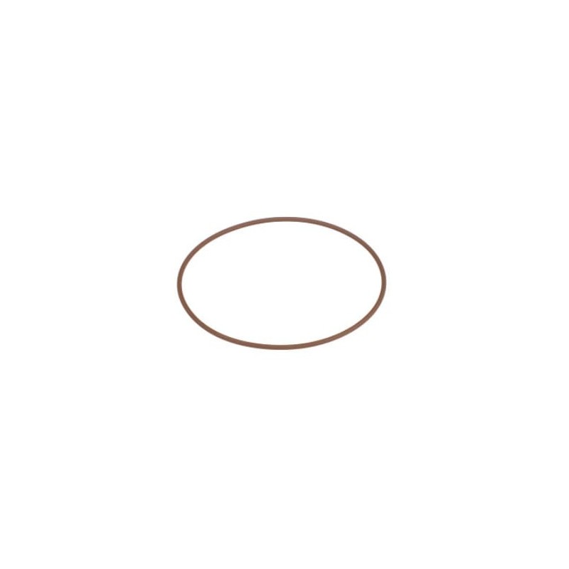 O-ring - 504108486FPT O-ring - 504108486FPT