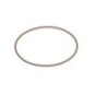O-ring - 504108486FPT O-ring - 504108486FPT