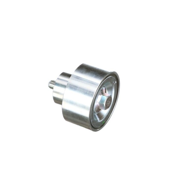 Guide pulley - 504065879FPT Guide pulley - 504065879FPT