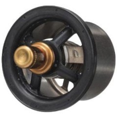 504096443FPT FPT Industrial, Thermostate 