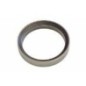 Ventilsitz Auspuff Standard - 504254094FPT Ventilsitz Auspuff Standard - 504254094FPT
