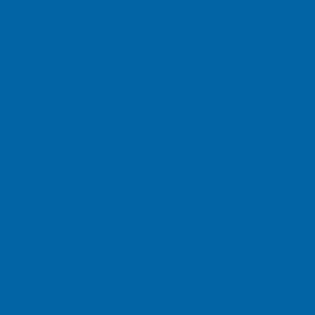 Brenig blau 1L - 505508KR