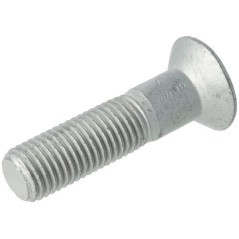 Schraube - 50079100