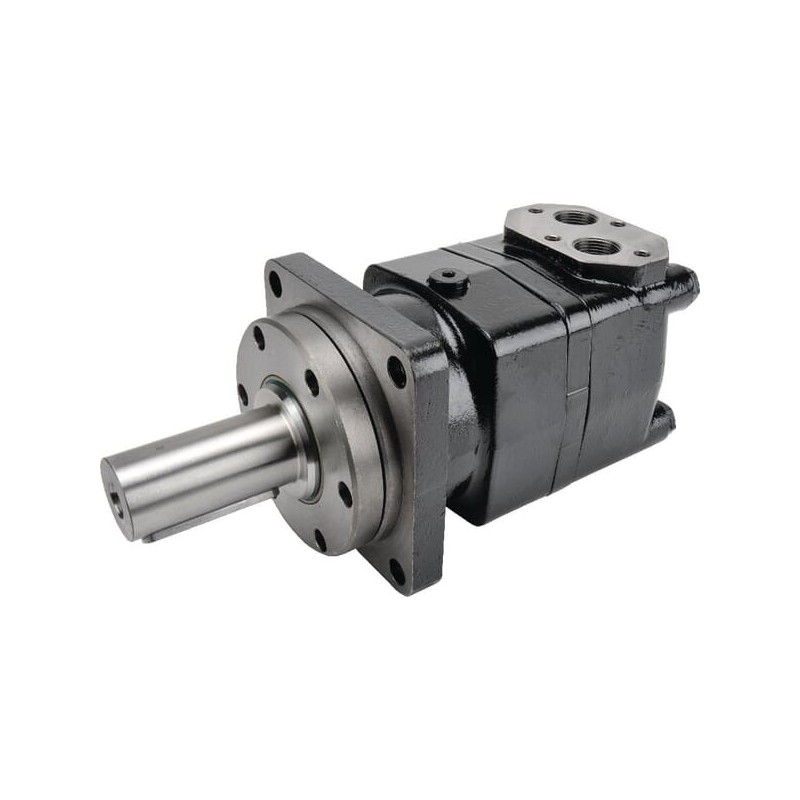 Hydraulikmotor - 5020400036 Hydraulikmotor - 5020400036