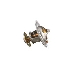 504038890FPT FPT Industrial, Thermostate 