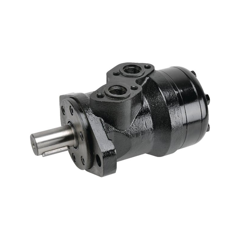 Hydraulikmotor - 5020400035 Hydraulikmotor - 5020400035