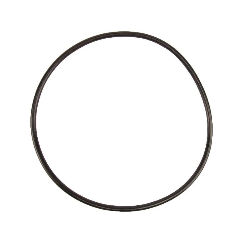 Seal ring - 5030210057