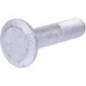 Bolt - 50073910 Bolt - 50073910