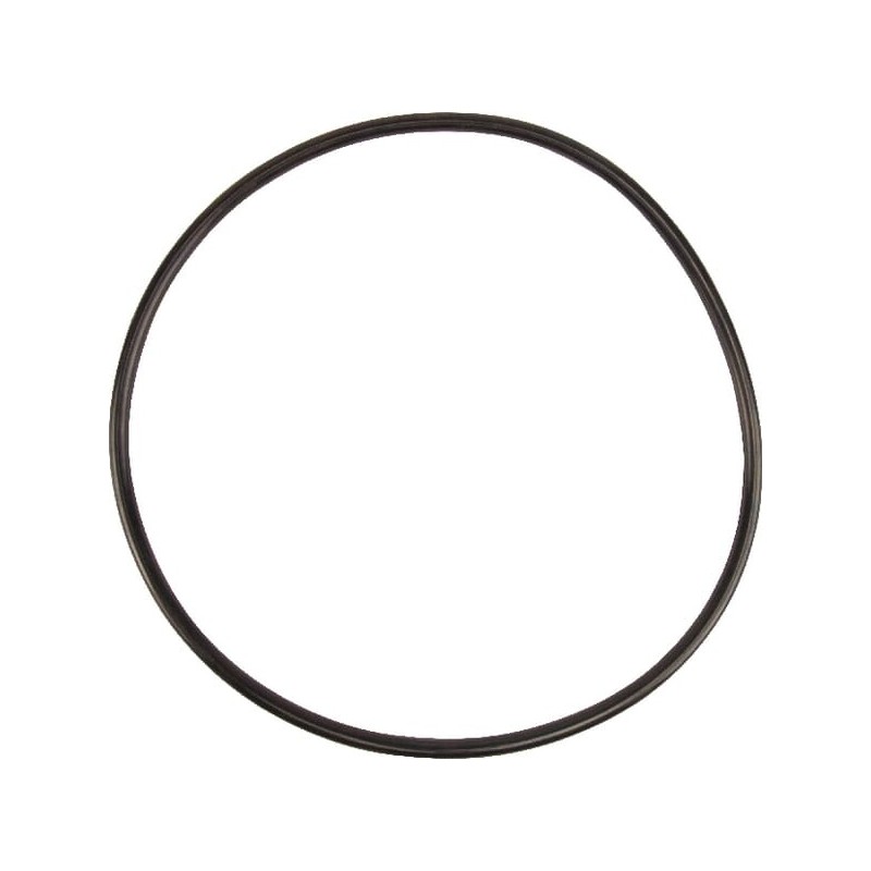 Seal ring - 5030210059