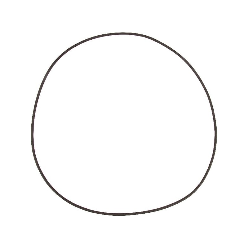 Seal ring - 5030210062
