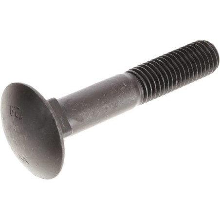 Carriage bolt - 50061207000