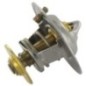 Termostat - 504038890