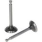 Ventilsatz - 5005501290001 Ventilsatz - 5005501290001