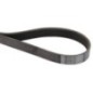 V-Belt Poly Hatz - 50203101 V-Belt Poly Hatz - 50203101