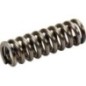 Feder - 501702148AN Feder - 501702148AN