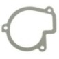 Seal Belarus - 501307048BN Seal Belarus - 501307048BN