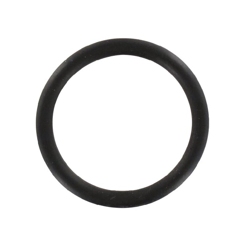 O-ring - 511512670GL