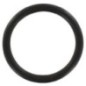 O-ring - 511512670GL