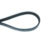 V-belt - 513050300 V-belt - 513050300